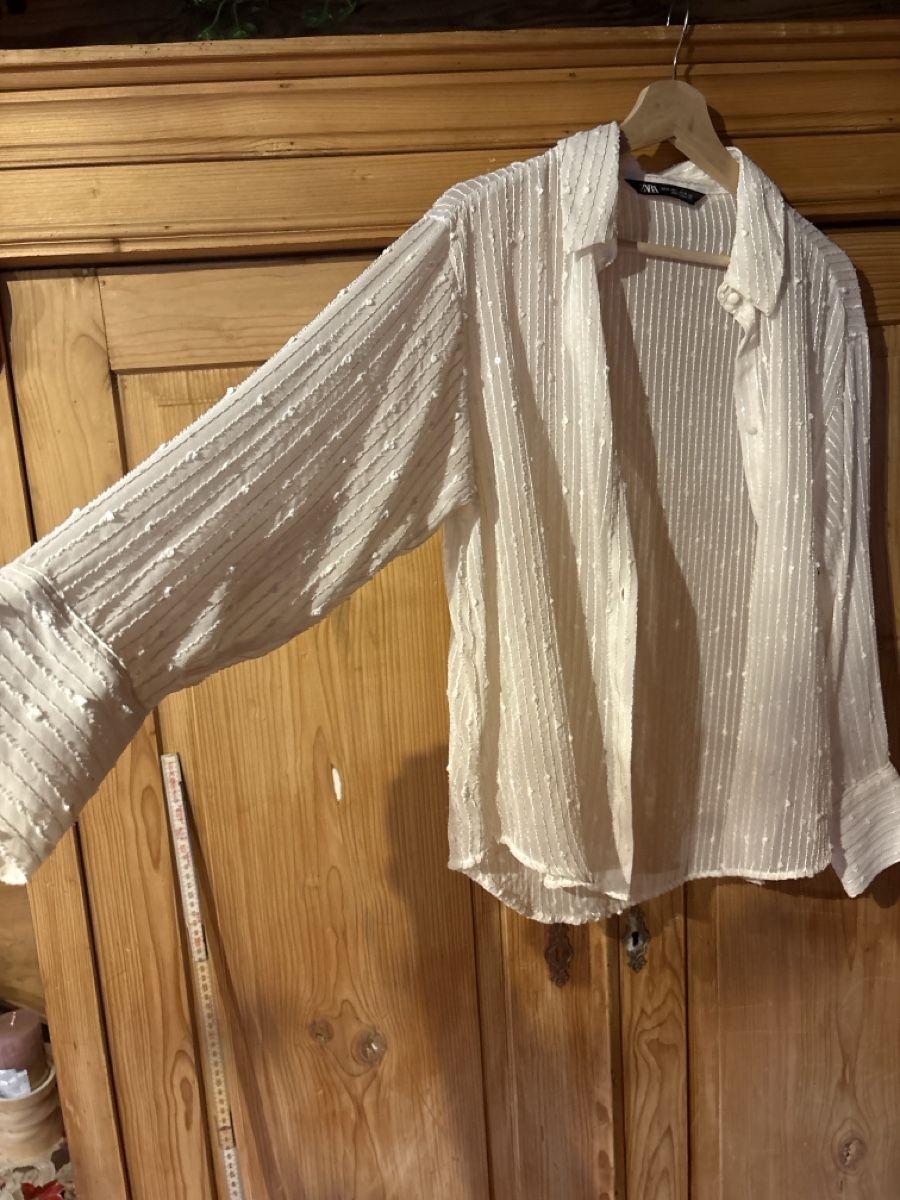 Zara Camicette: Neue Pailletten Bluse – Nuovo (secondo la descrizione) da Affoltern am Albis venduto da tam_5vn5 5