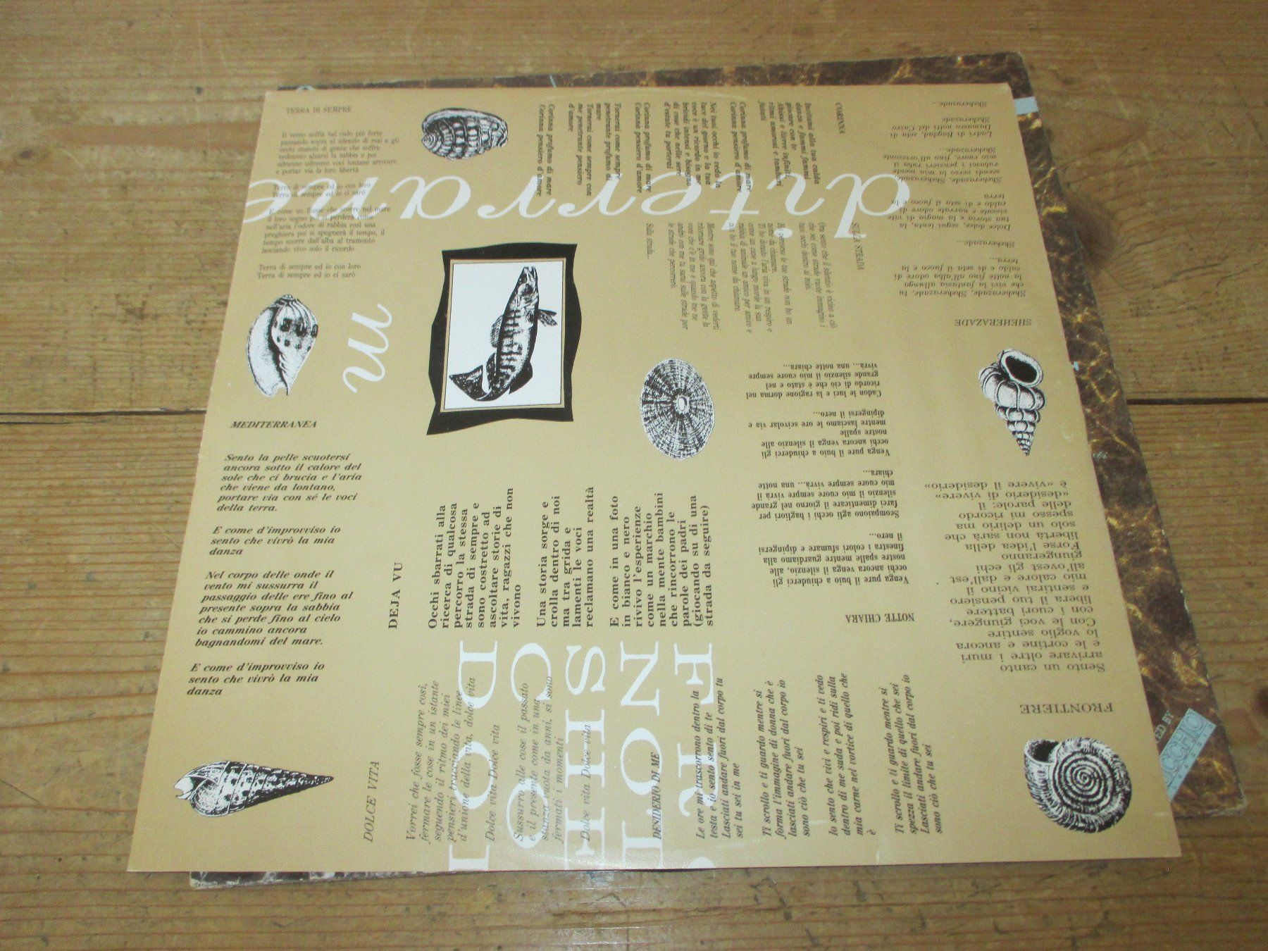 Dischi in vinile: Viridanse Mediterranea LP – Usato da Flims - Dorf venduto da Stagediver 3