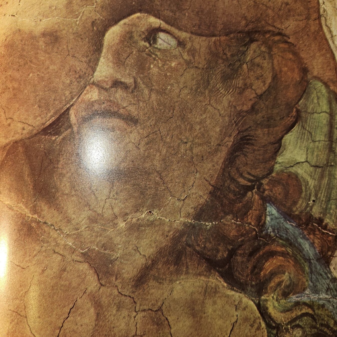 Libri: Michelangelo pittore - Klassisches Kunstbuch – Usato da Kriens venduto da gra_fhn7 8