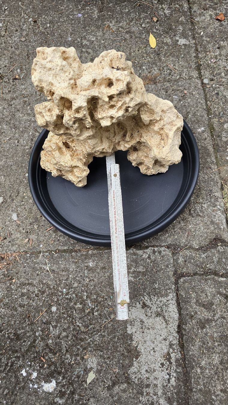 Tutte le decorazioni: Aquarium Deko Stein Korallenstein ca 25 cm hellbeige – Usato da Muttenz venduto da pixopus 4