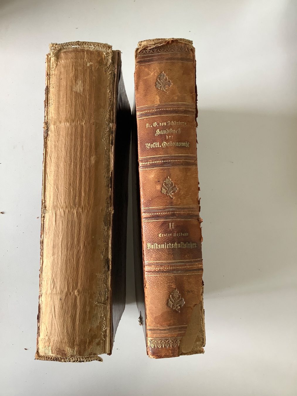 Libri: Zwei antike Bücher von 1896 – Usato da Triesen venduto da boston7