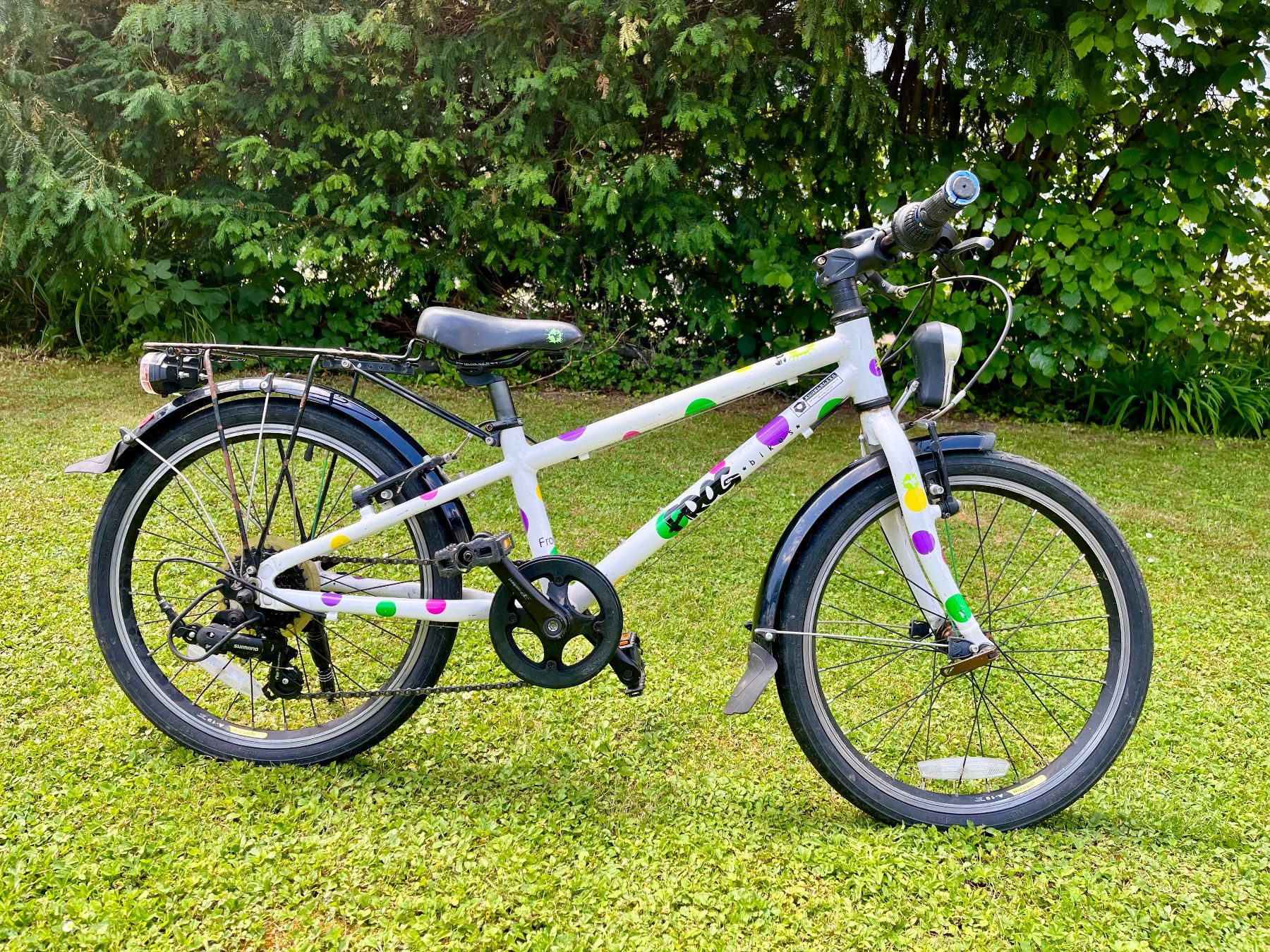Biciclette: Kindervelo FROG 20" – Usato da Zürich venduto da D.J.Richter 4