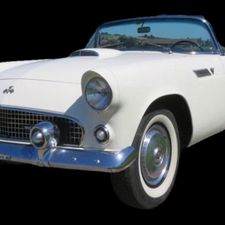 Profile image of Tbird55
