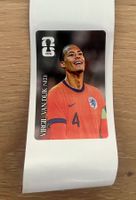 Virgil Van Dijk Panini coca