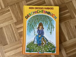 Mein Grosses farbiges Geschichtenbuch