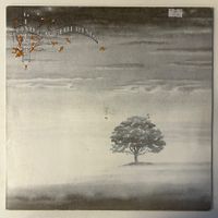 Genesis - Wind And Wuthering, Vinyl LP 1976
