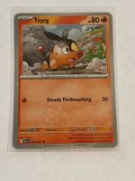 Pokemon ASCENDED HEROES Tepig Holo 029 / 217  🇬🇧 EN