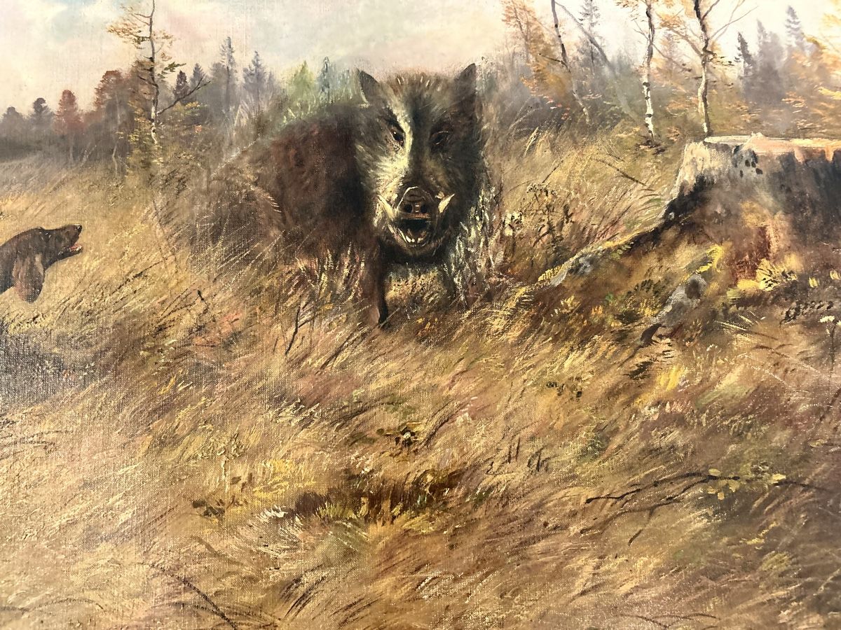 Dipinti: Antikes Ölgemälde Wildschwein Keiler M. Müller-Gera  – Usato da Hofstetten SO venduto da Treasurefinds 2