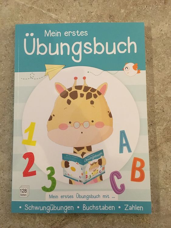 Mein Erstes Übungsbuch Kindergarten 1 Klasse Kaufen Auf Ricardo 