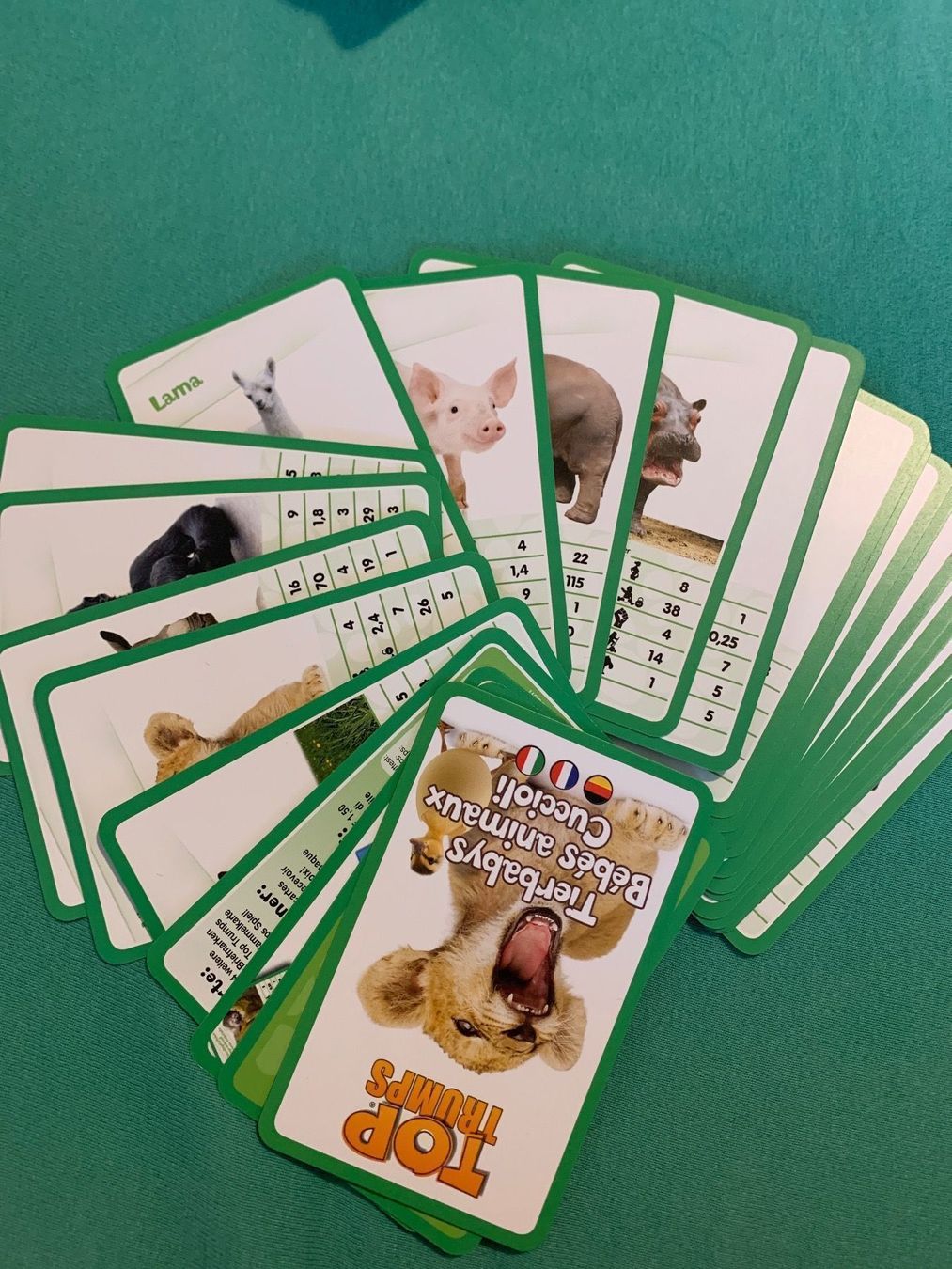 Giochi: Kartenspiel – Nuovo e nell'imballaggio originale da Laufen venduto da Jassi.quinn 1