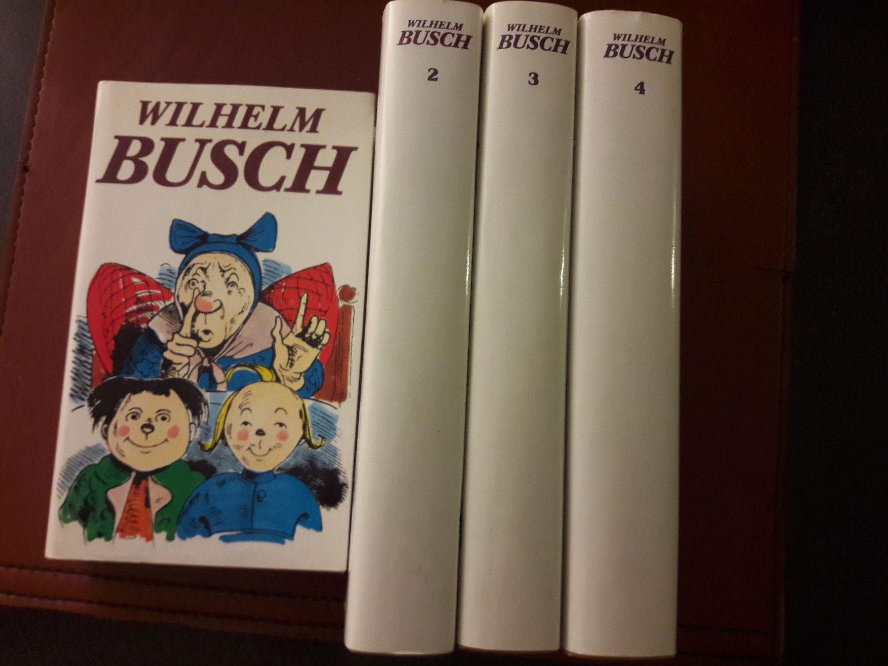 Libri: Wilhelm Busch Bücher Band 1-4 – Nuovo (secondo la descrizione) da Zollikerberg venduto da Kaugo