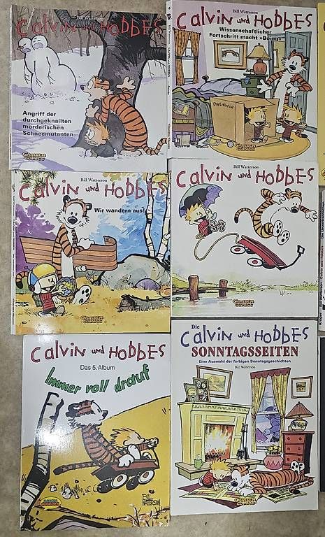 Comics: Calvin und Hobbes Comicsbücher – Gebraucht aus Münchenbuchsee von Bussistyle 1
