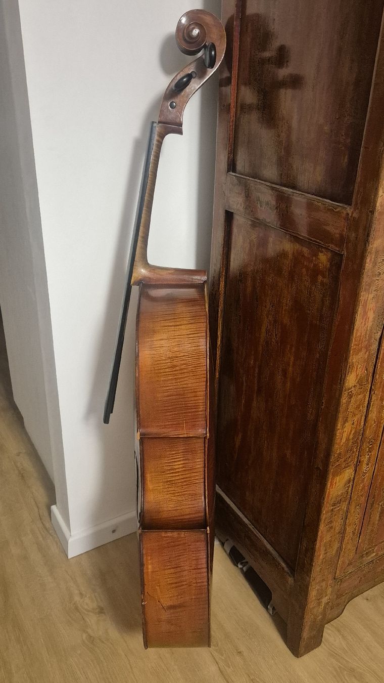 Strumenti musicali: Cello zu Verkaufen – Usato da Rämismühle venduto da beni0010 2