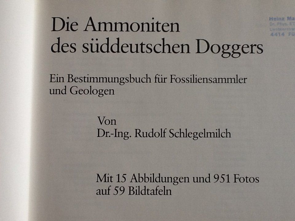 Libri: Fossilien Ammoniten Dogger – Nuovo (secondo la descrizione) da Olten venduto da smiples 1