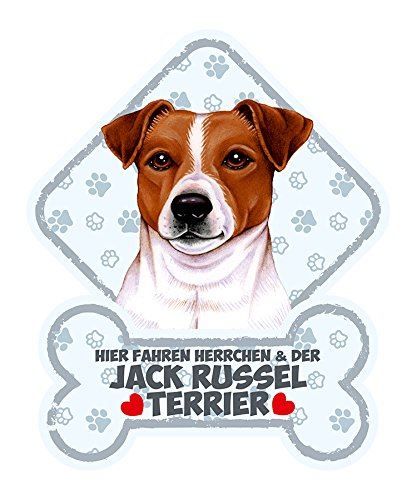 Insegne: Hundeschild mit Saugn.JACK RUSSEL TERRIE – Nuovo e nell'imballaggio originale da Rupperswil venduto da big-one-sale