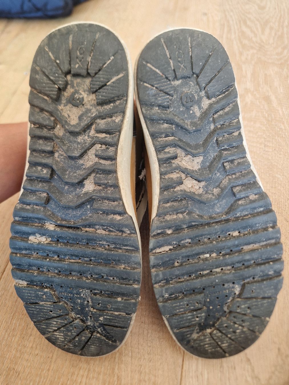 Geox Scarpe per ragazzi: Herbstschuhe Geox, Gr.37 – Usato da Eggersriet venduto da Sdosi 2