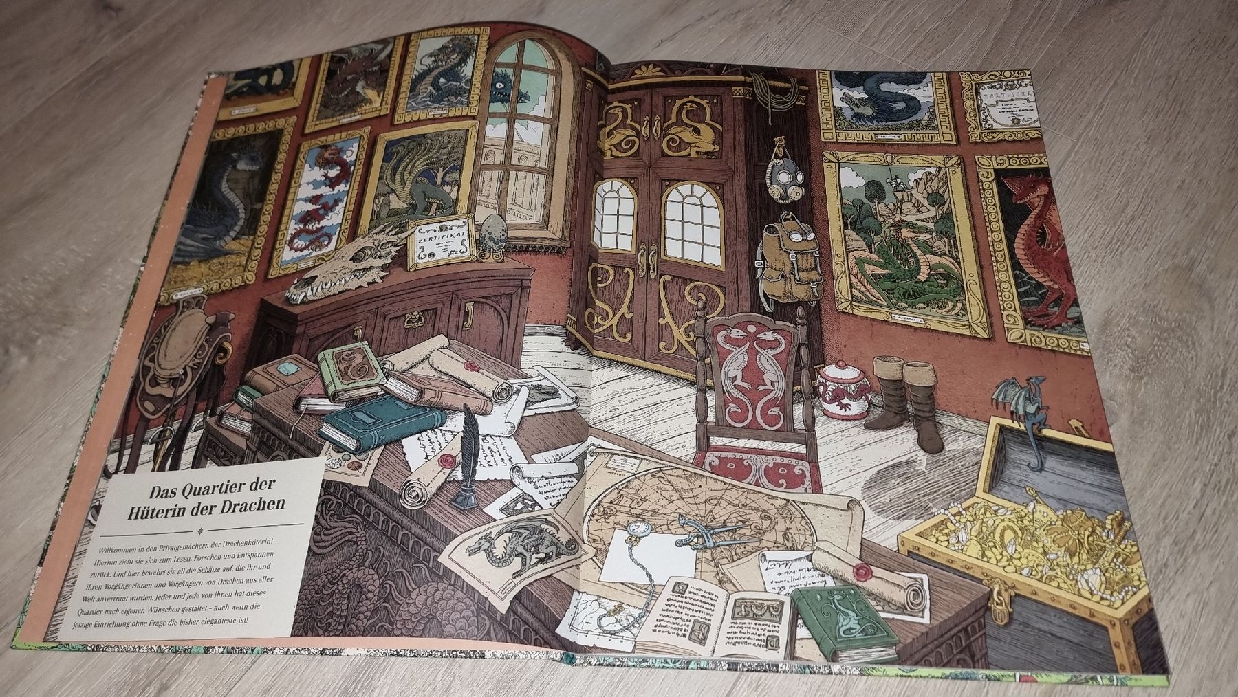 Libri: "Die Hüterin der Drachen" Großformat Neuwertig – Nuovo (secondo la descrizione) da Wigoltingen venduto da Zuckerfee84 4