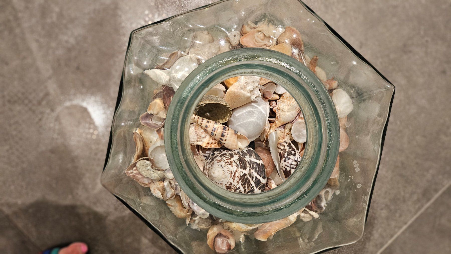 Toutes les décorations: Muschelsammlung – D'occasion à Siglistorf par ester23 1