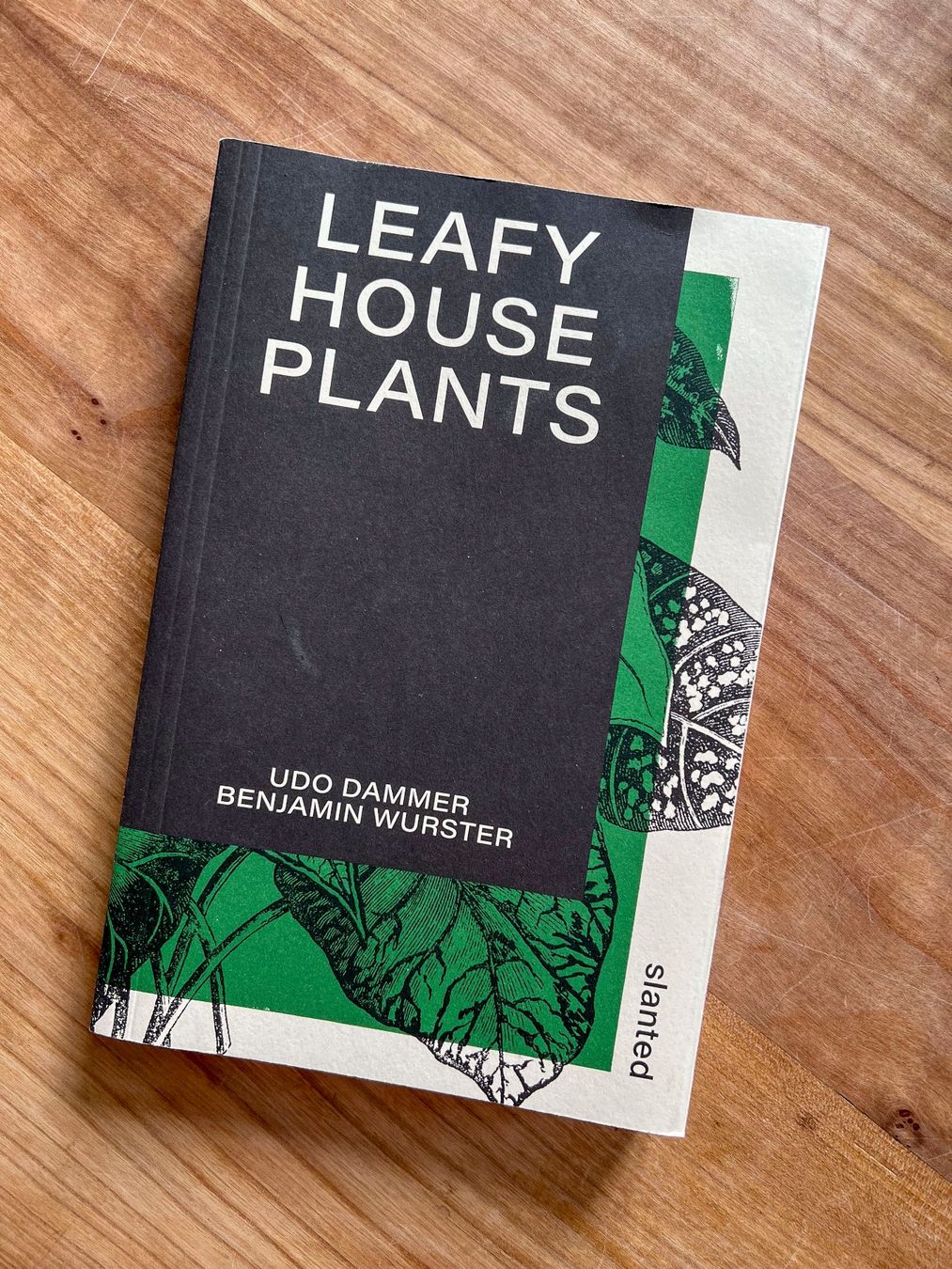 Libri: "Leafy House Plants" Buch, Udo Dammer – Usato da Winterthur venduto da Ael_