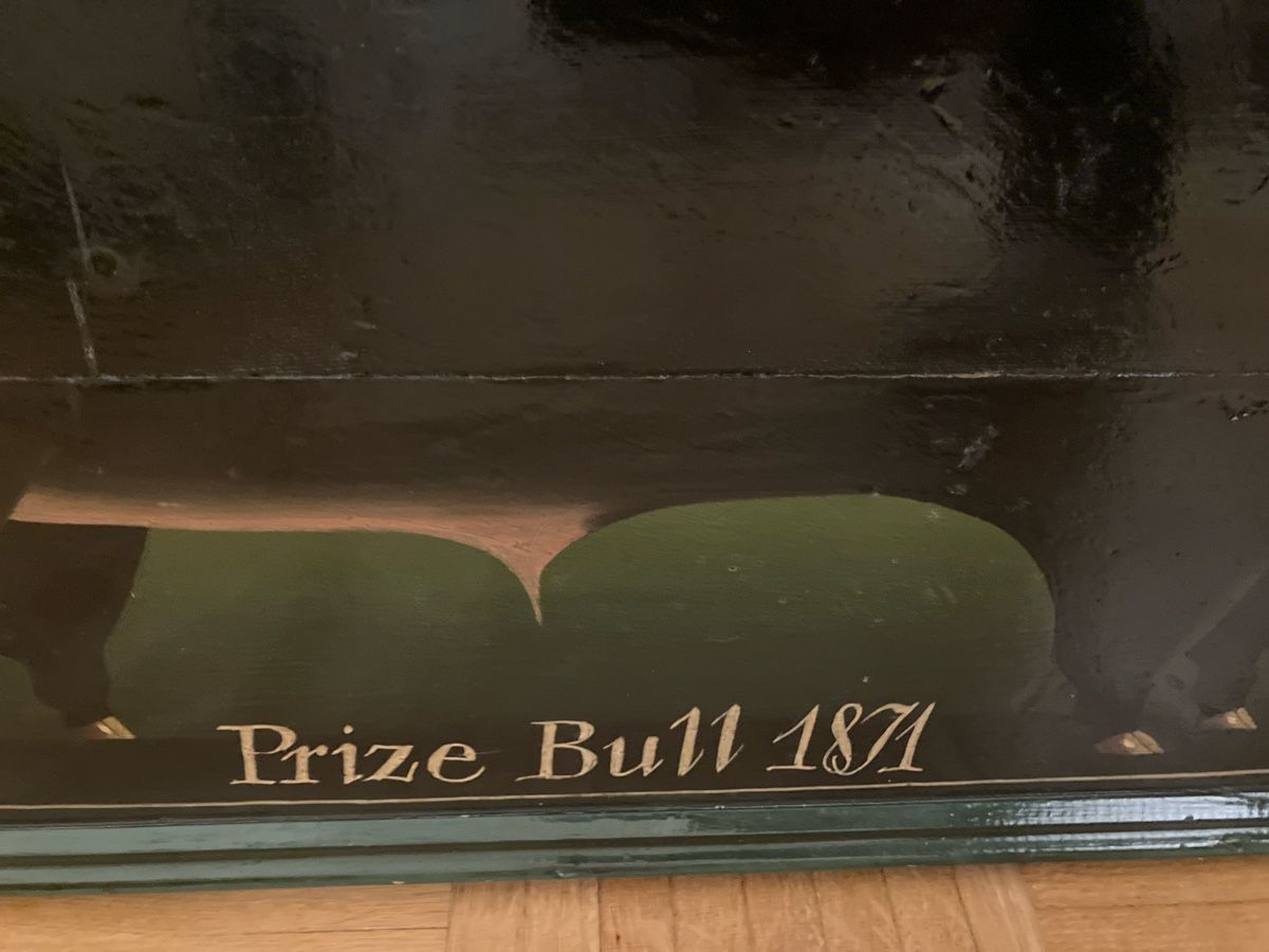 Foto & Immagini: Prize Bull 1871 – Usato da Bern venduto da divediver 1