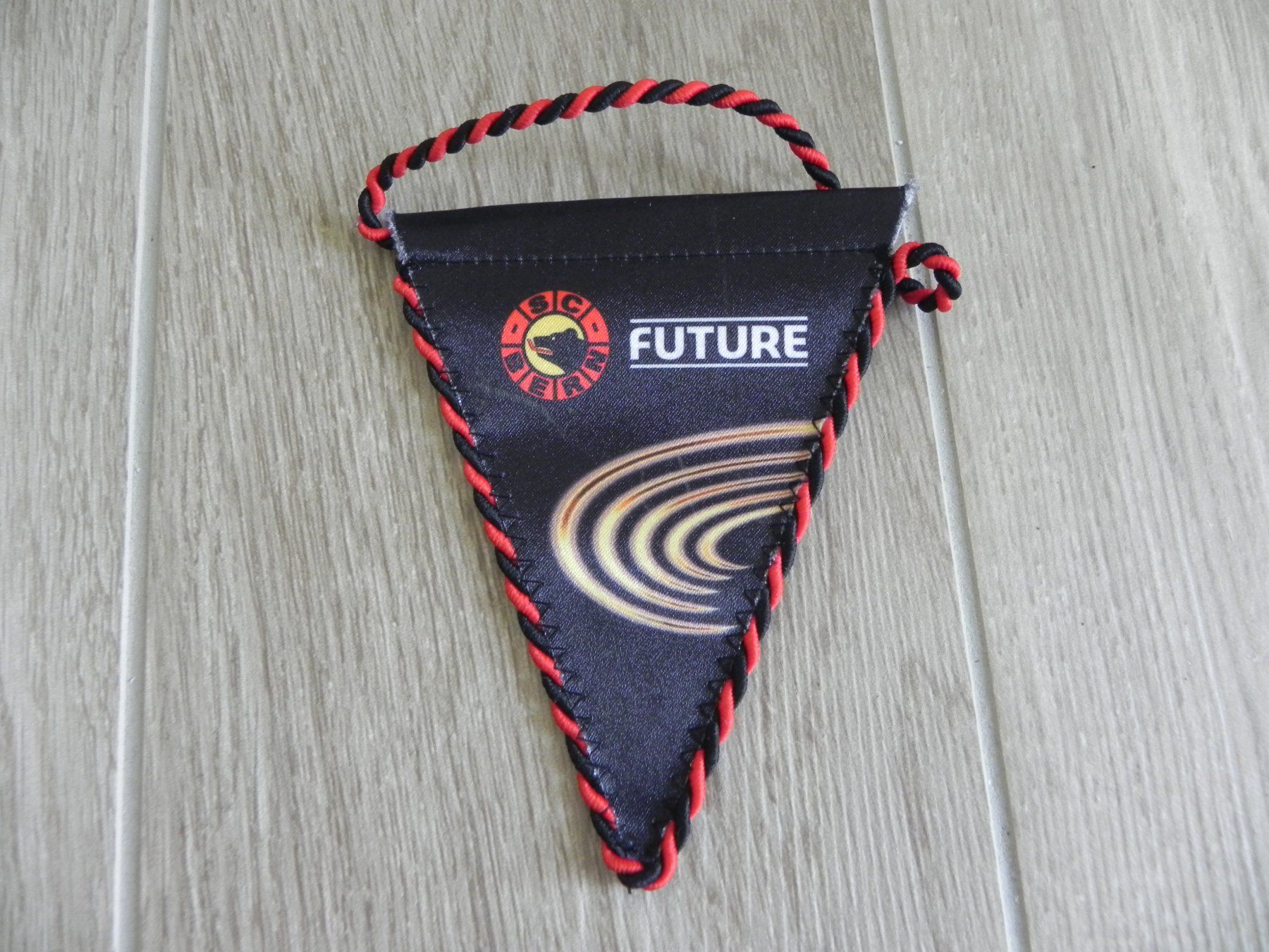 Maillots de corps & Pantalons: Alter Eishockey Wimpel SC Bern Future – D'occasion à Biel/Bienne par Gogolozi