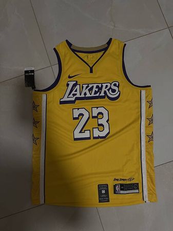 LeBron James Nike Authentic Lore Series  Jersey (size L)
