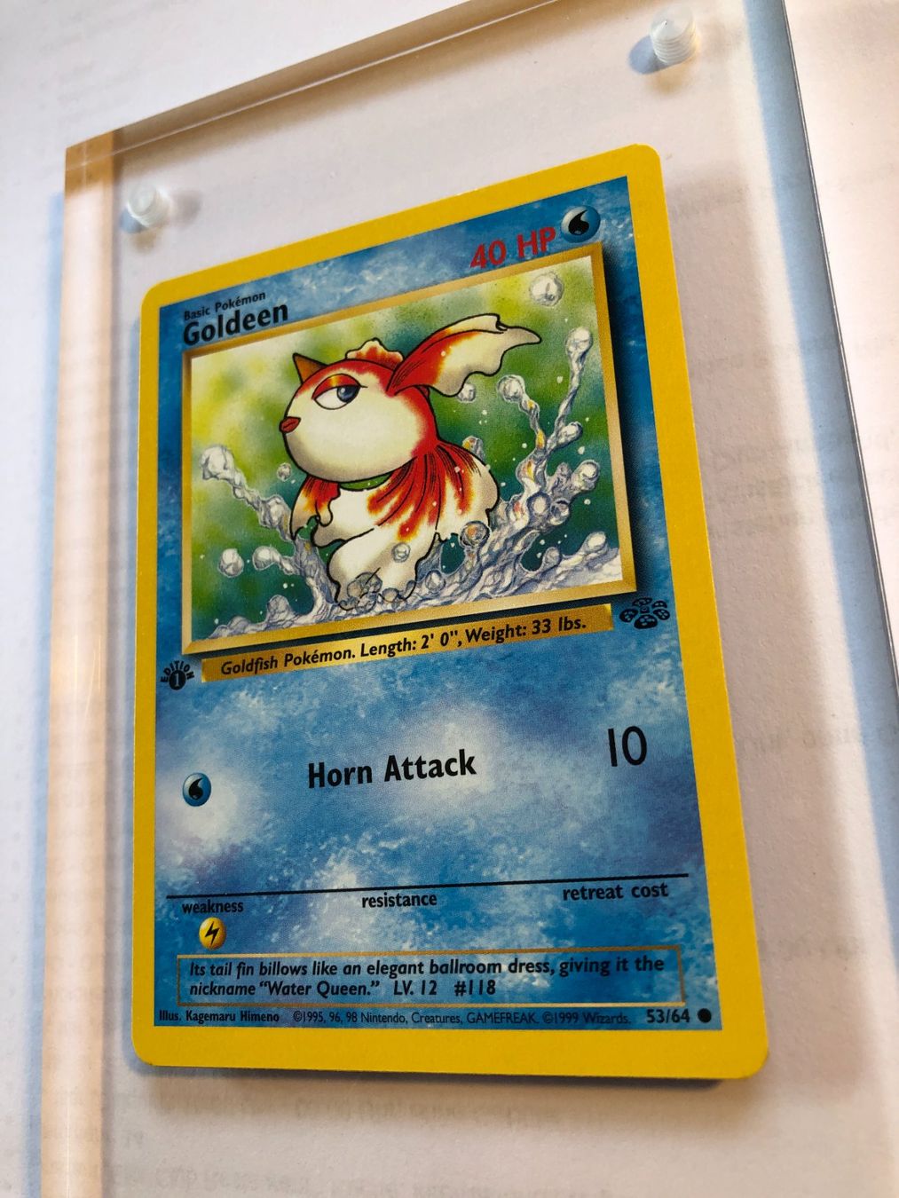 Carte collezionabili: Goldeen 1st Jungle - MINT - ab 1.- – Usato da Giubiasco venduto da dan_pr8b 2