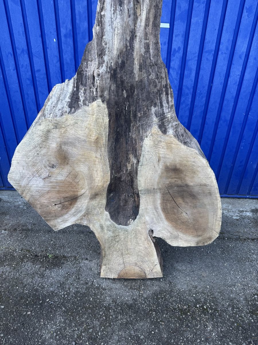 Articoli in legno: Nussbaum Klotzbrett 260  cm lang! – Usato da Gränichen venduto da onkel_xxl 3