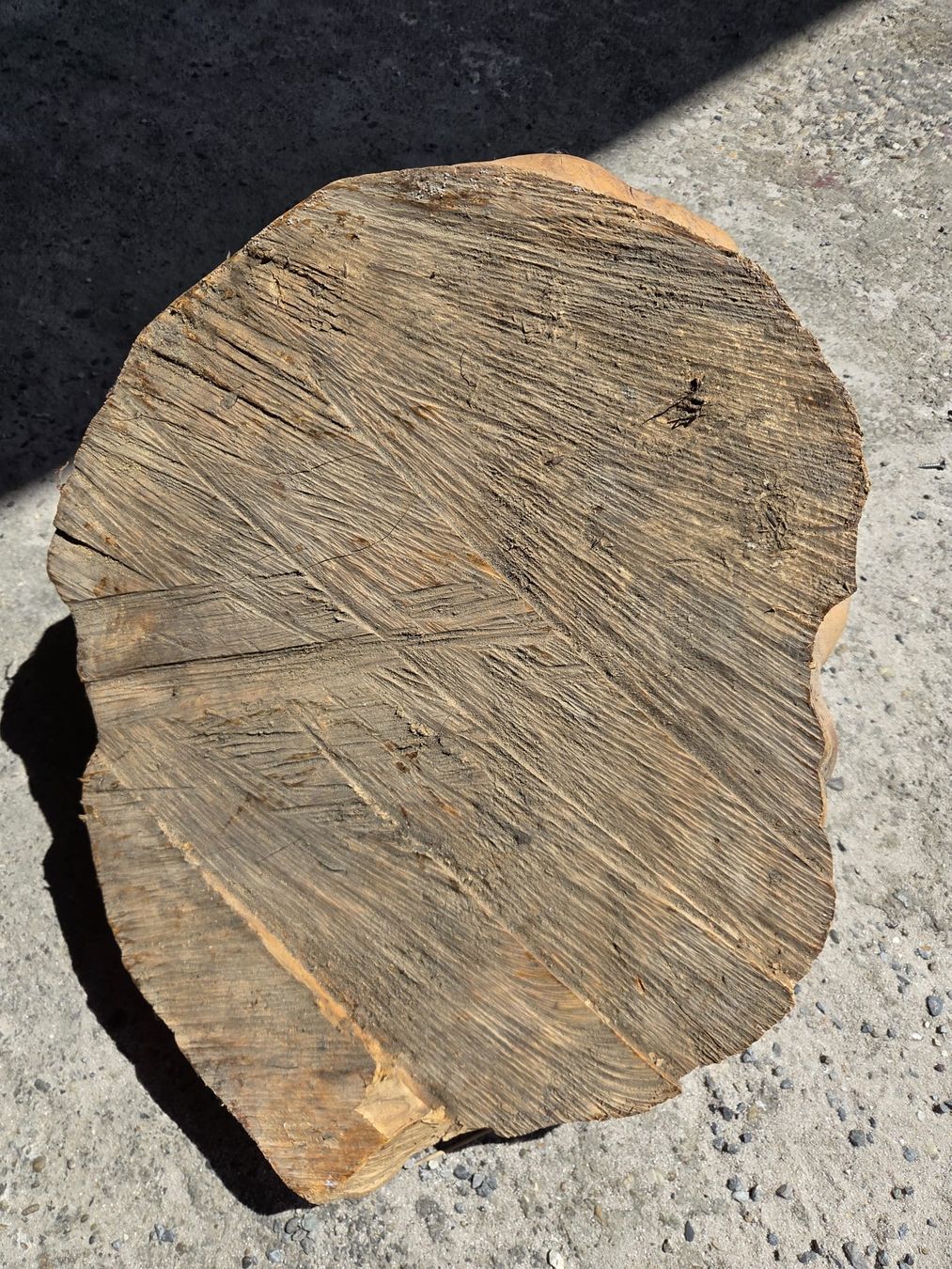 Holzartikel: Olive Holzknolle, Wurzelholz, ca. 40cm Durchmesser – Neu und originalverpackt aus Bottmingen von Mastro-Holzdesign 2