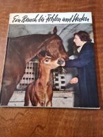 Ein Besuch bei Fohlen und Stuten