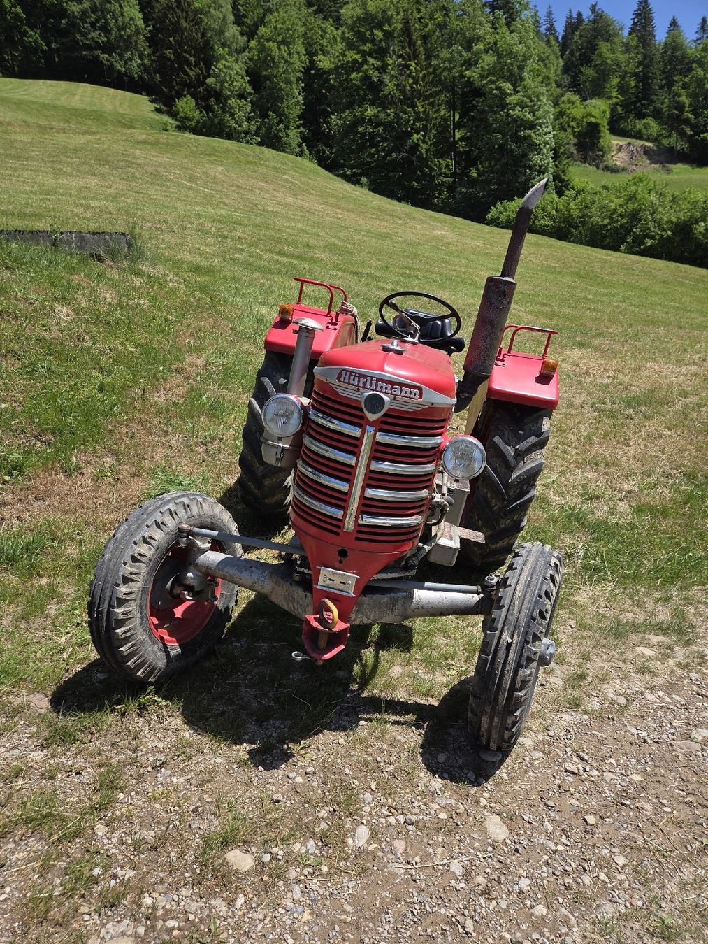 Hürlimann Trattori: Hürlimann D 100 – Usato da Fehraltorf venduto da schsim82 1