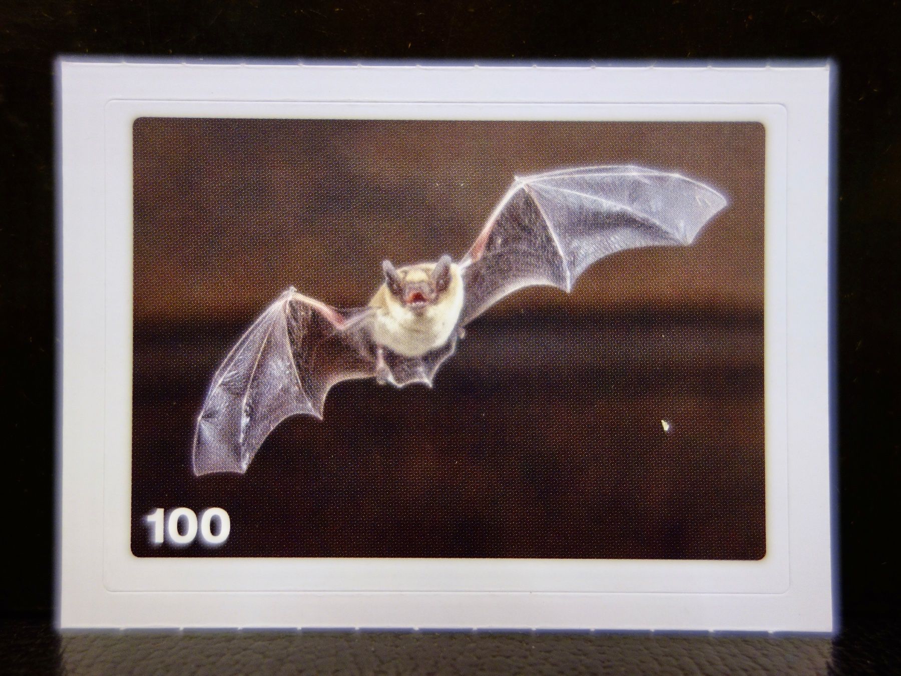 Migros Cartes à collectionner: MIGROS MANIA Nature Detectives Nr. 100 – Neuf avec emballage d'origine à Kerzers par djstarsky73