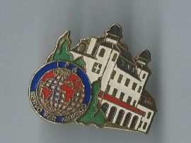 Placchette & Badge: SERVO PER AMIKECO, Pin – Usato da Zürich venduto da t24_de