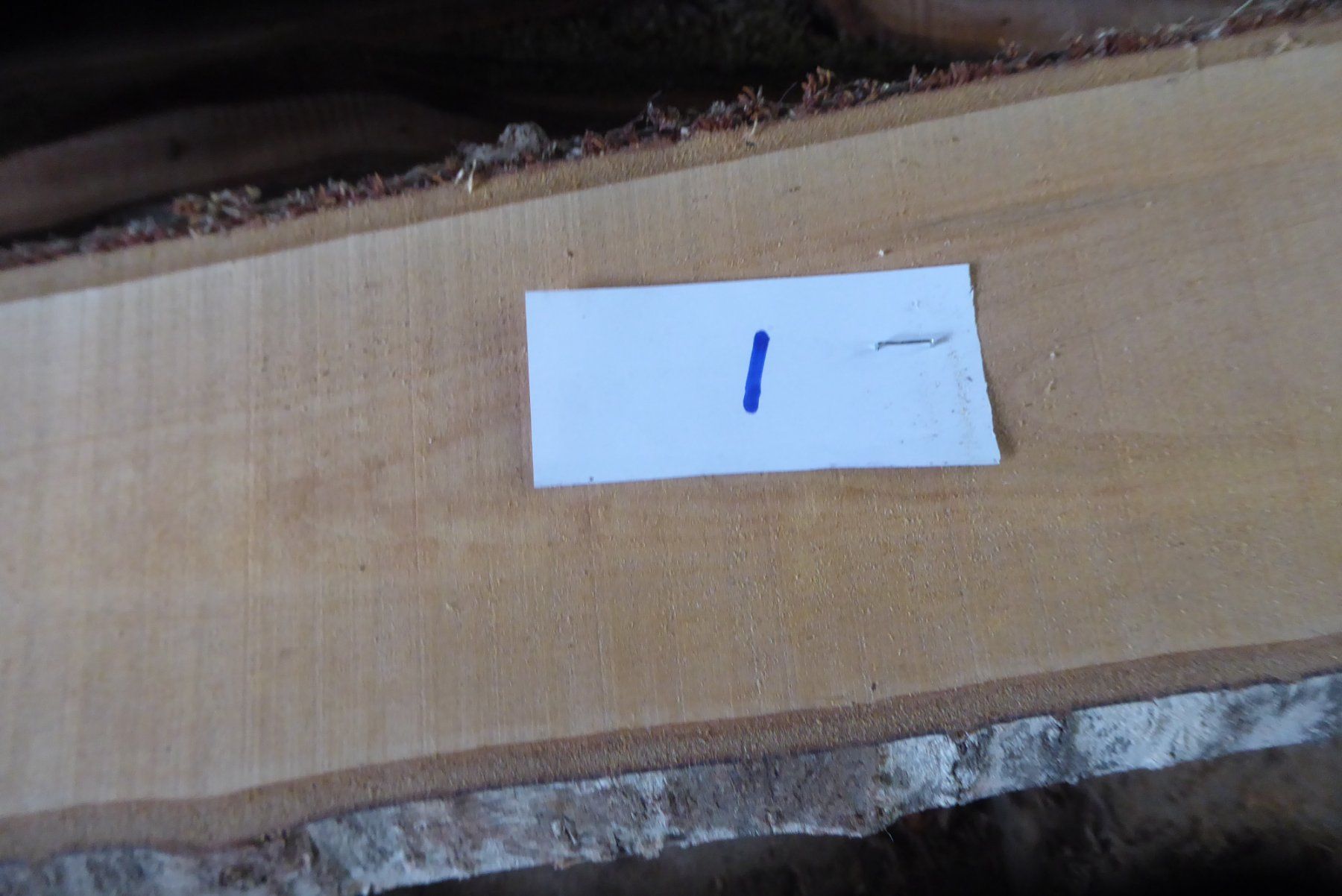 Articoli in legno: Kirschbaumbrett 16 mm – Nuovo (secondo la descrizione) da Sumiswald venduto da Hennri1 2