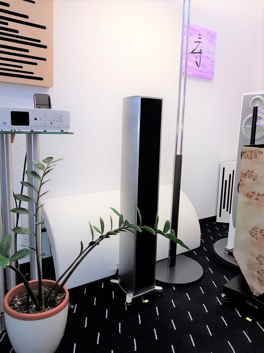Piega Casse acustiche: Piega Premium 501 – Usato da Schaan venduto da hifiproject 1
