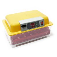 Wiltec 24 Eier Brutapparat Inkubator