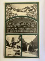 seltene Ansichtskarte Zürcher-Oberland, Fischenthal