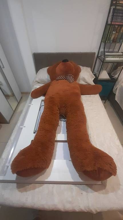 Giocattoli: Hochwertiger Teddybär, 1,90 cm gross – Usato da Therwil venduto da myMojito 2