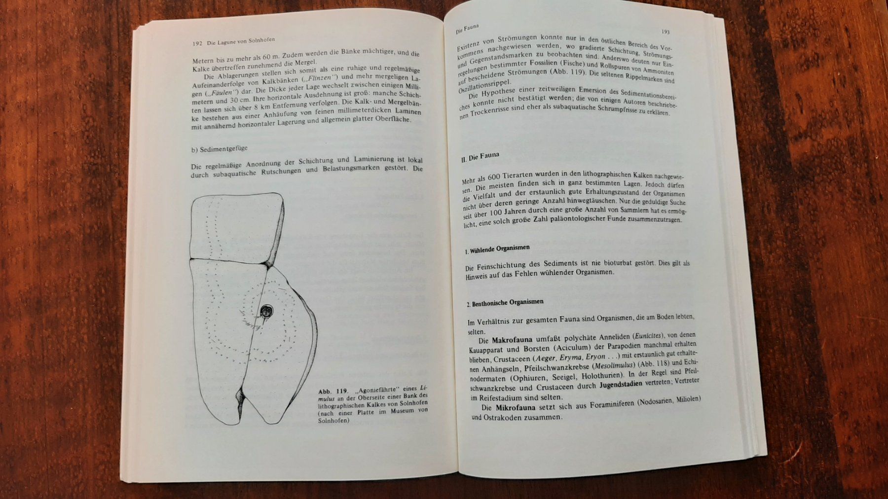 Bücher: Geologie Erdgeschichte – Gebraucht aus Rickenbach BL von Oktober68 5