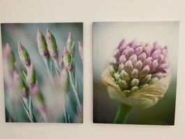 Blumenbilder Druck ( je 40x50 cm) 2 Stück