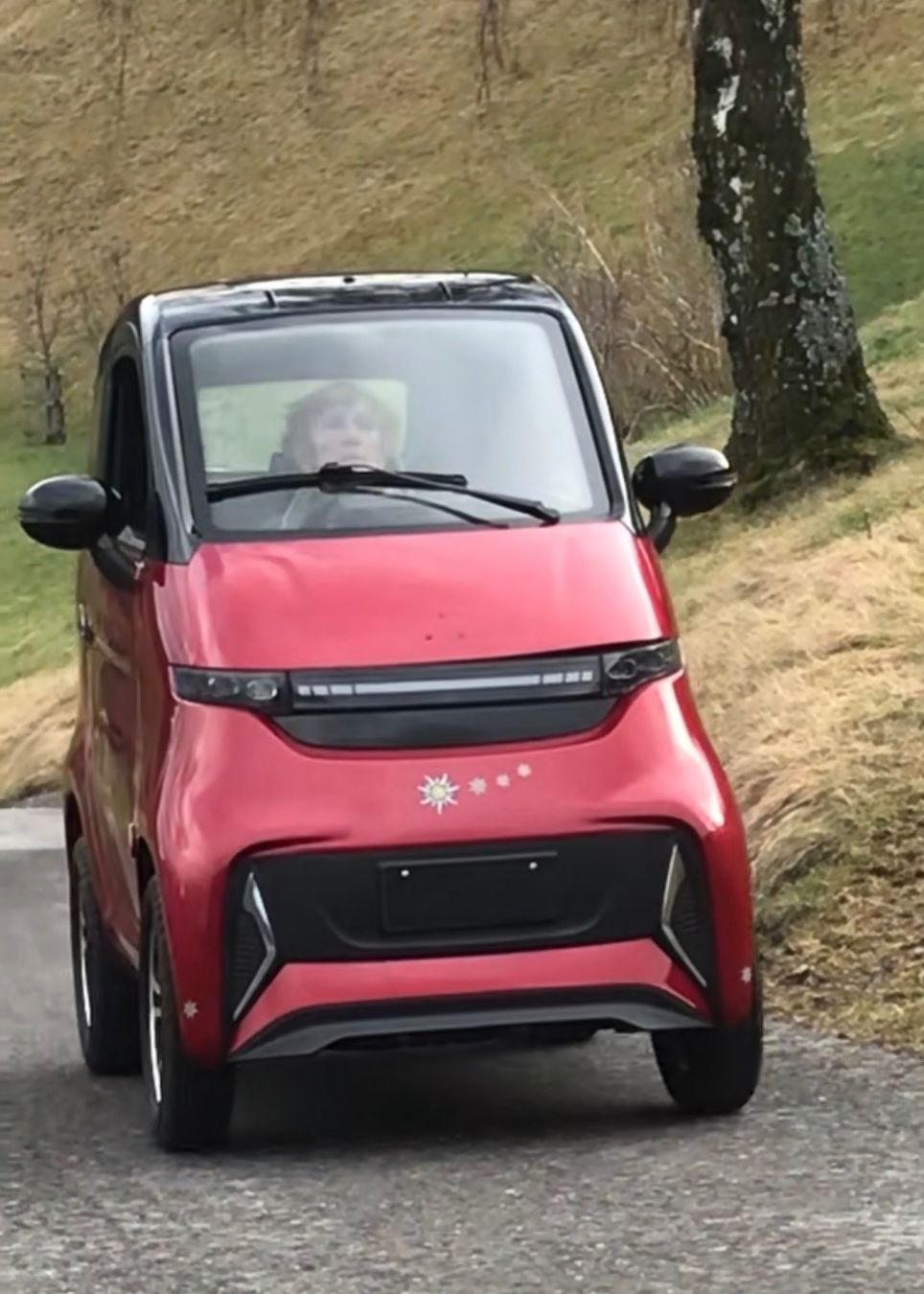 Elektromobile: Elektro-Seniorenmobil "Torro" – Gebraucht aus Vilters von Kleinesf10 1