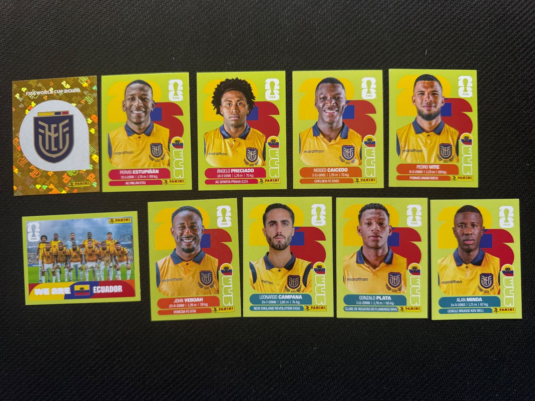 Panini Carte collezionabili: Panini WM 2026 Sticker - Ecuador Lot – Nuovo (secondo la descrizione) da Oberwil BL venduto da Chelsea26