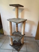 Katzenbaum