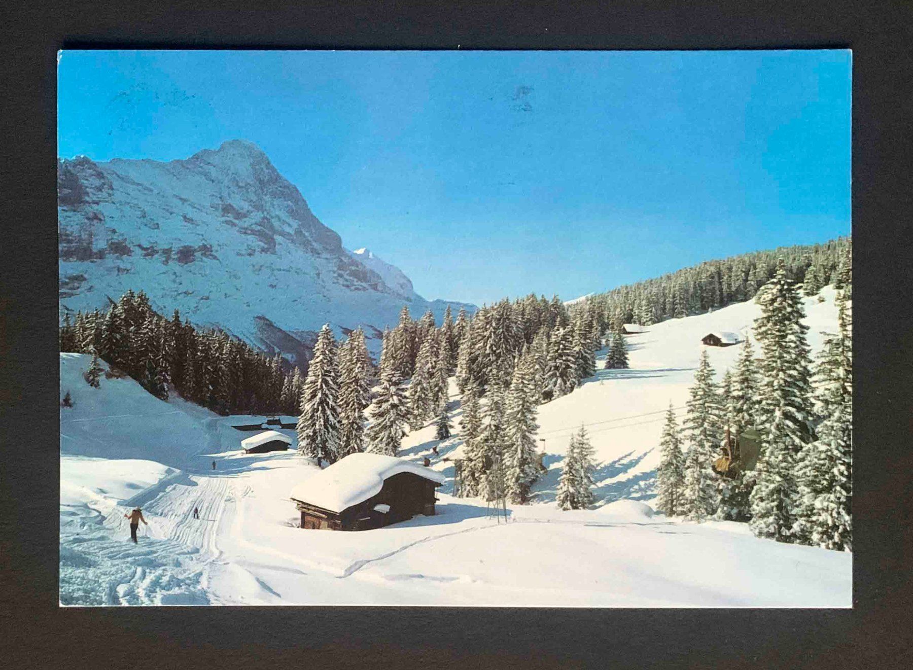 Cartoline postali: AK Grindelwald Berner Oberland Firstabfahrt – Usato da Goldau venduto da artelier1