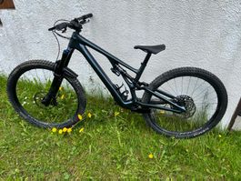 VTT Specialized Stumpjumper EVO Expert Carbone