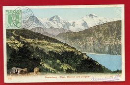 AK BEATENBERG STATION SENN KÜHE THUNERSEE TELLKNABE 1908