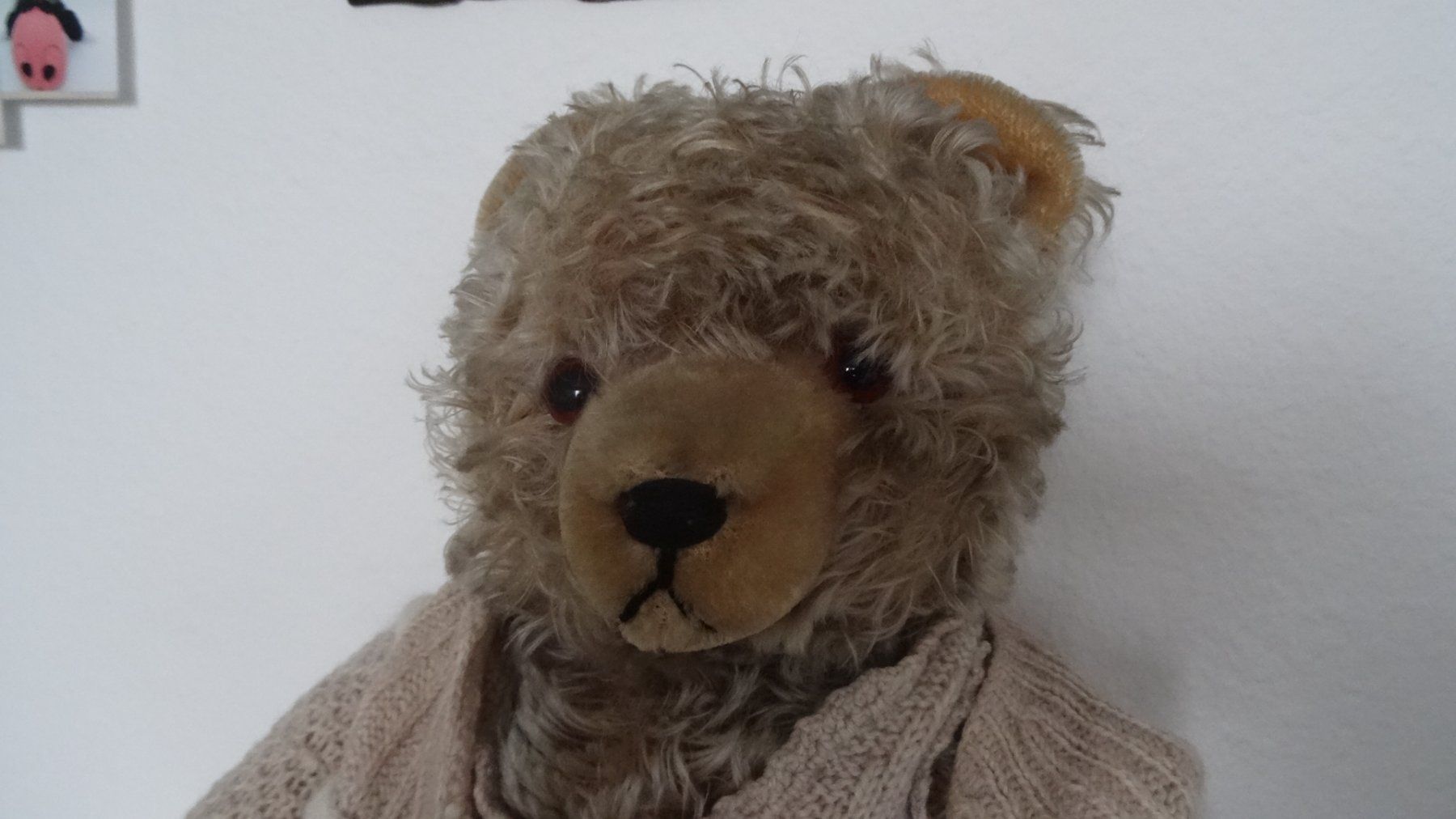 Jouets: TEDDYBAER – D'occasion à Ehrendingen par CHMEX 1