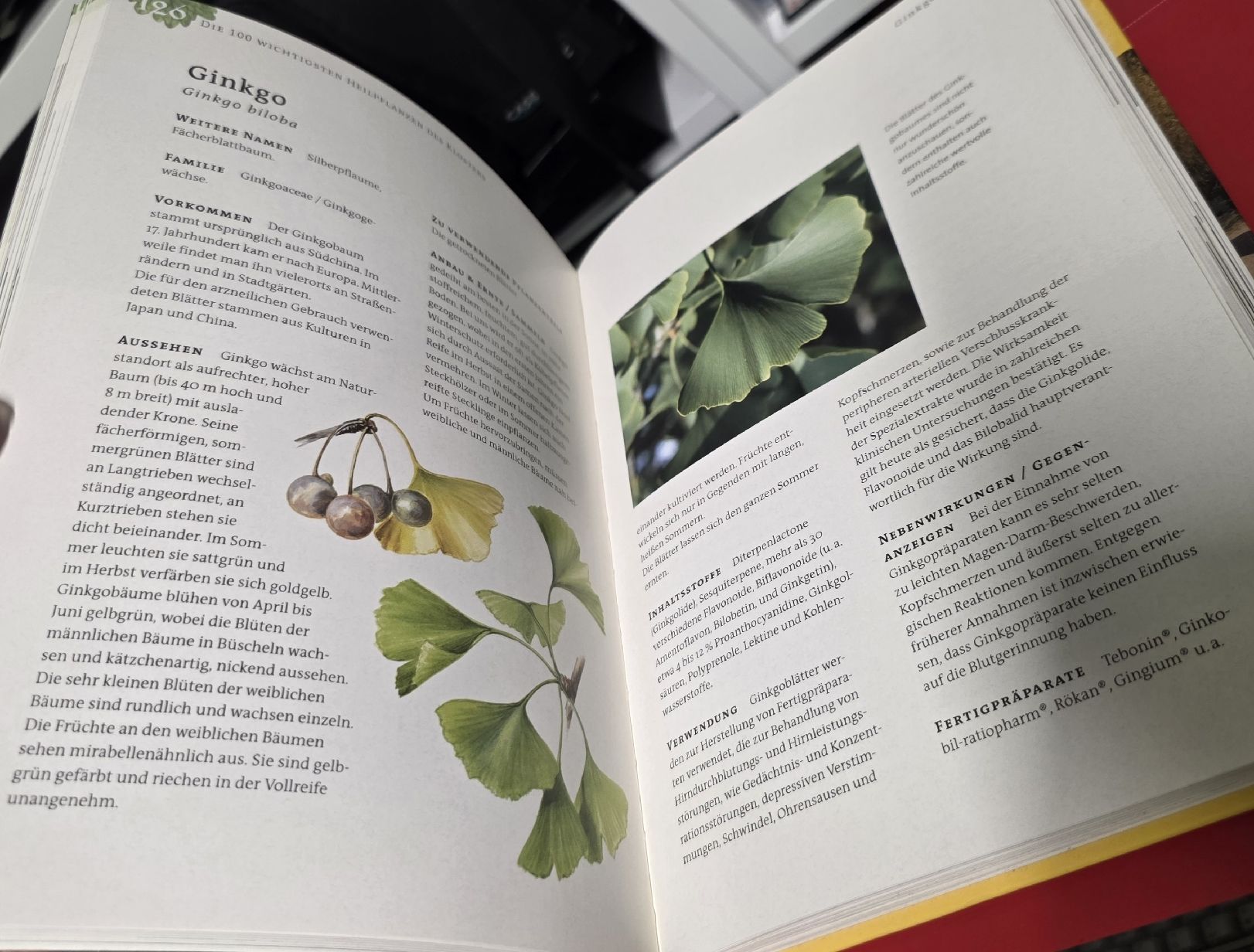 Libri: Heilkraft aus dem Klostergarten - Kosmos - BUCH – Usato da Reinach BL venduto da _MasterK_ 4