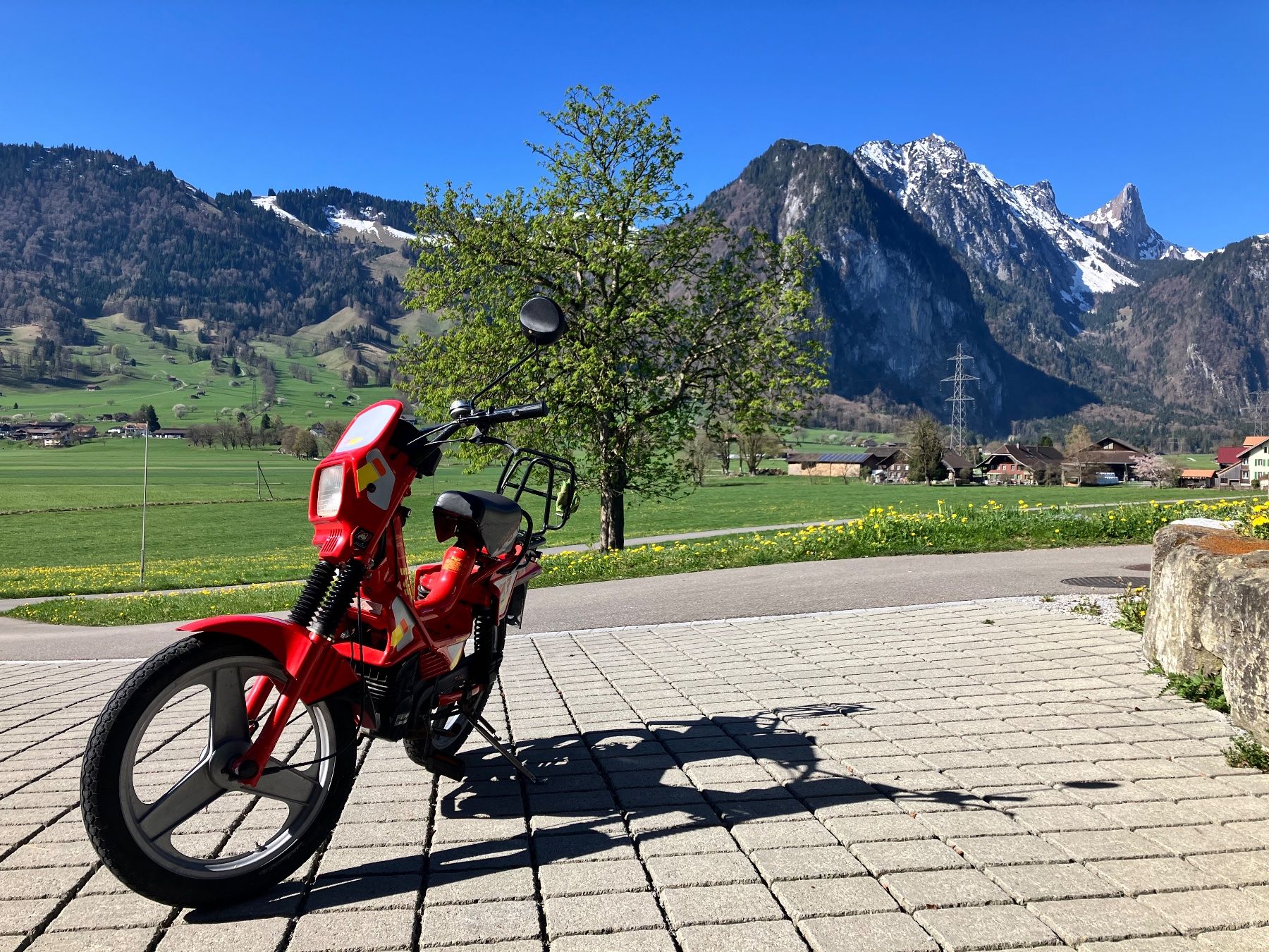 Malaguti Mofas: 🔥Original Fifty Malaguti Motor | Top Zustand | Italo Mofa🔥 – Gebraucht aus Zwieselberg von Lucky1923 2