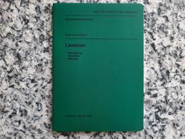 Lawinen